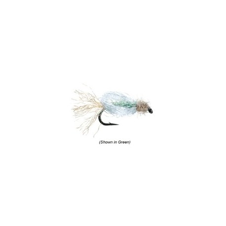 Iris Caddis