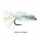 Iris Caddis