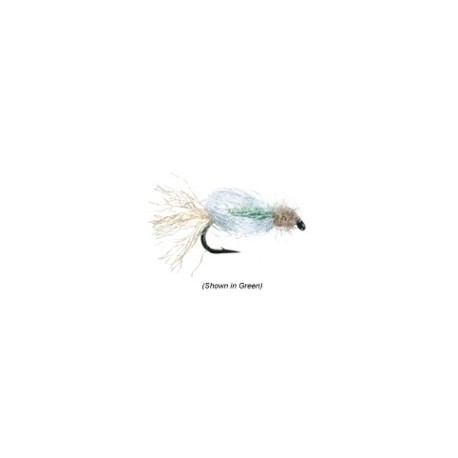 Iris Caddis