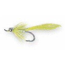 Hot Shot Comet Green