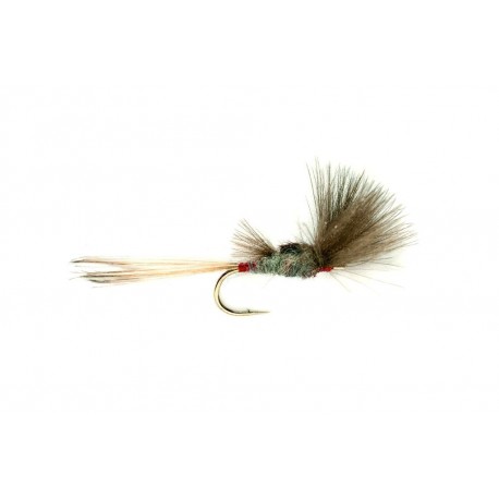 Iron Blue Dun CDC