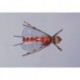 J S Salmonfly in the Zone Stone