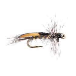 Jc Jassid Variant Grayling Grey Grizzly