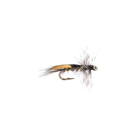 Jc Jassid Variant Grayling Grey Grizzly