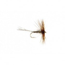 Jingler Hares Ear