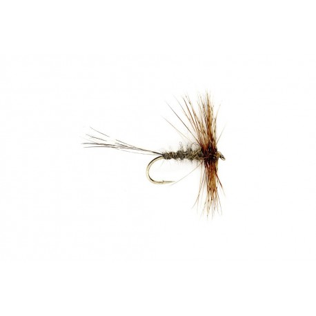 Jingler Hares Ear