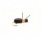 Kicking Beetle Orange