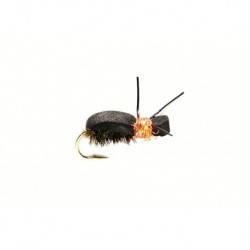 Kicking Beetle Orange