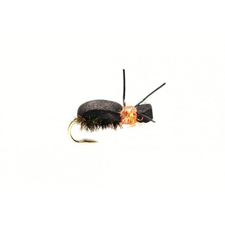 Kicking Beetle Orange