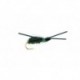 Kicking Beetle Peacock