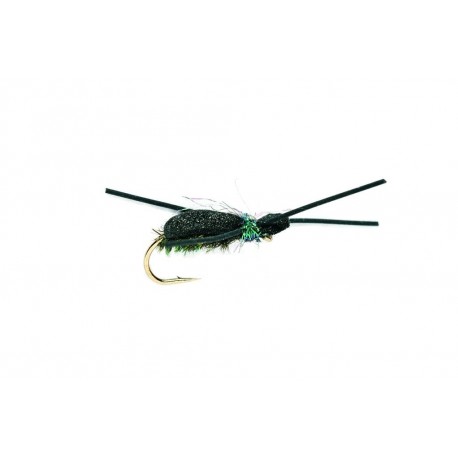 Kicking Beetle Peacock