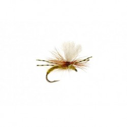 Kicking Klink Olive