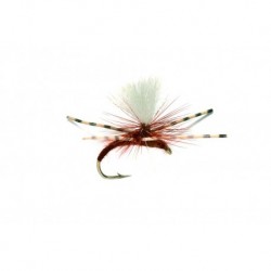 Kicking Klinkhammer Brown