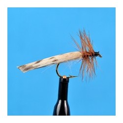 King River Caddis