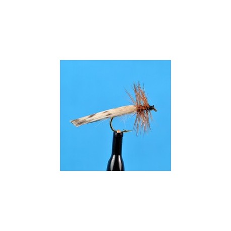 King River Caddis