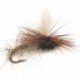 Klink Hares Ear