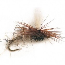 Klink Hares Ear