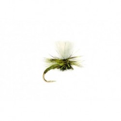 Klink Light Olive