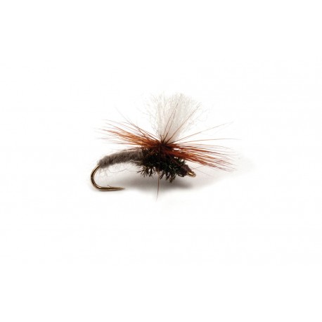 Klinkhammer Adams Gray
