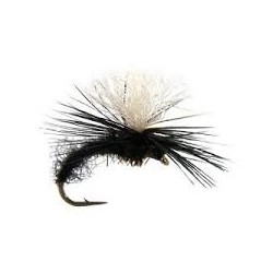 Klinkhammer Black