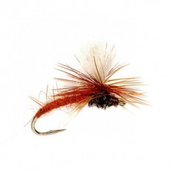 Klinkhammer Brown
