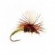 Klinkhammer Olive
