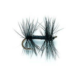 Knotted Midge