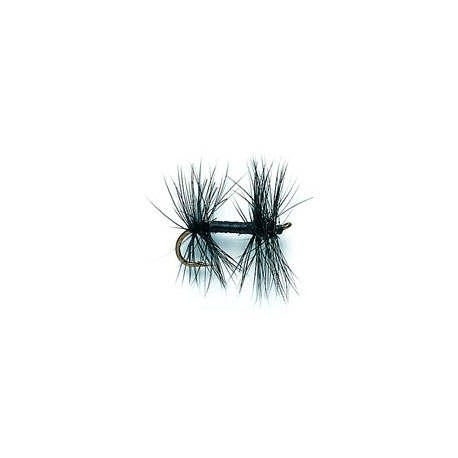 Knotted Midge