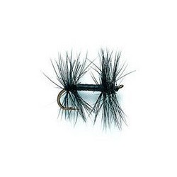 Knotted Midge