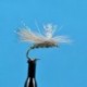 Krystal Caddis Grey