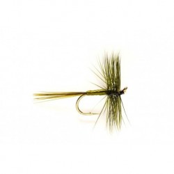 Large Dark Olive