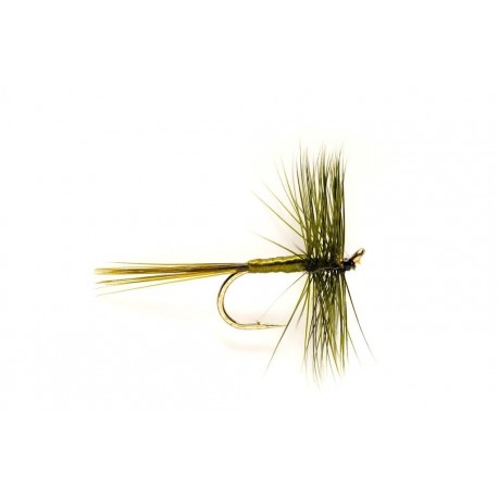 Large Dark Olive