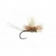 Lexi's Get 'Er Dun May Adams Gray Barbless
