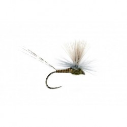Lexi's Get 'Er Dun May Bwo Barbless