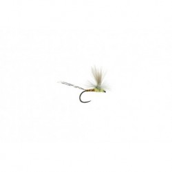 Lexi's Get 'Er Dun May Sulphur Barbless