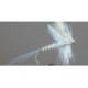 Light Cahill Biot