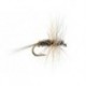 Littly May Fly V