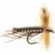 Longlegs Light Brown (Detached)
