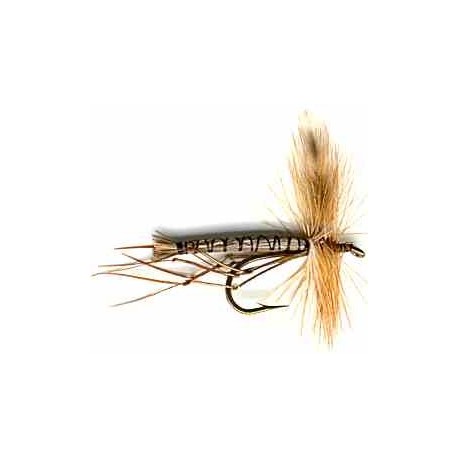 Longlegs Light Brown (Detached)