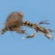 Loopwing Emerger Olive