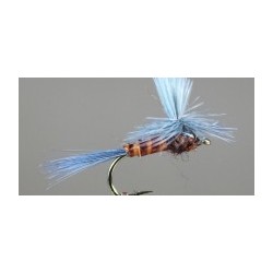 Mahogany Parachute