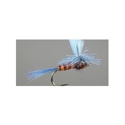Mahoguny Parachute