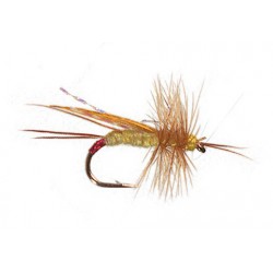 Maldonados Yellow Sally