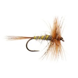 March Brown Classic