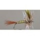 March Brown Western