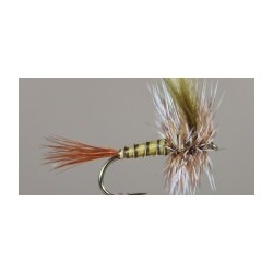 March Brown Western