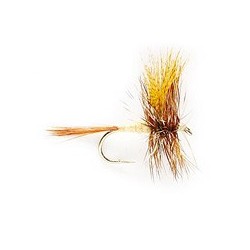 March Brown
