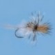 Mayfly Cripple Callibaetis