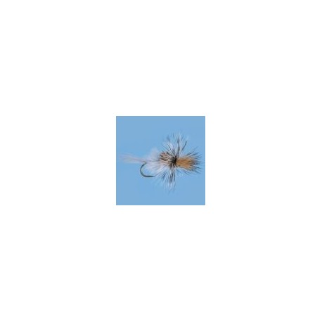 Mayfly Cripple Callibaetis