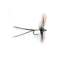 Mayfly Grey Spent